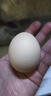 柴小旦农家散养五谷喂养新鲜土鸡蛋单枚 10枚装 实拍图