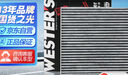 韦斯特活性炭空调滤清器MK2110(适配日产新阳光/10-15款玛驰1.5L新阳光) 实拍图