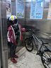 飞鸽（FLYING PIGEON）飞鸽自行车变速山地车男女碟刹大中小学生车青少年骑行越野赛单车 双碟刹-21速-辐条轮-灰色 24英寸适合140-170cm 实拍图