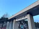 兰帕达骑行裤男短裤公路车自行车骑行服夏季速干背带裤专业骑行装备皓月 黑色-皓月背带短裤（比利时坐垫) 2XL （80-90kg） 实拍图