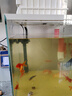博宇（BOYU）鱼缸过滤器三合一增氧泵水族箱打氧过滤桶迷你循环潜水泵充氧一体 PGB-750(长40到80缸) 实拍图