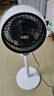 扬子电风扇空气循环扇智能语音风扇家用卧室客厅大风量落地扇台扇两用轻音摇头杨子循环扇循环风扇制冷 三米线+机械大头款（自动摇头） 实拍图