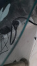 gosund电小酷智能插座 wifi无线控制 远程开关定时 鸿蒙智联 专用芯片 电量统计10a插座CP1-HW  实拍图