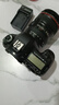 佳能/Canon 5D3 5D4 5D2 6D 6D2 7D2 5DSR 全画幅二手单反数码相机 佳能5D Mark III单机/ 5D3 99成新 实拍图