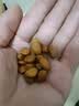 十年梦新货松子东北1000g手剥开口松子大颗粒坚果孕妇零食干果罐装 【1罐】开口松子250g 实拍图