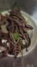 【春菜】苦菜150g 实拍图