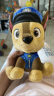 汪汪队立大功（PAW PATROL）汪汪队玩具毛绒全套狗狗玩偶公仔男女孩玩具旺旺队六一儿童节礼物 经典款-阿奇公仔【需选尺寸】 中号-坐高22.9CM 实拍图
