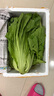 柏馋【现货】新鲜芥菜 大叶青菜 大苦菜可做酸菜 当季蔬菜 5斤净重新鲜采摘 实拍图