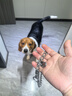 万牵狗链子 不锈p链牵引绳项圈栓狗遛中大型犬脖圈脖套P链金属防咬铁 3.0丝粗（35—45斤）55厘米 实拍图