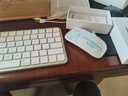 天际流【官方同款】apple/苹果鼠标无线蓝牙办公静音Magic妙控三代MacBook笔记本电脑air/ipad可充电 【键盘鼠标套装】全套苹果白 适用二三代无线鼠标Mouse可充电配件 实拍图