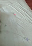 百丽丝水星家纺出品全棉床笠纯棉床单床笠罩单件全包床笠床垫保护套 实拍图
