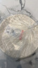 佳茉一次性盘子9英寸30只环保材质玉米淀粉外出烧烤野餐防水防油餐具 实拍图