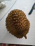 小憨哇泰国金枕头榴莲新鲜带壳进口应季水果整箱精品老树果整箱批发鲜果 净重2.8-3.8斤 实拍图