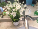 小清新中式蝴蝶兰花艺仿真花套装 客厅假花设计绢花玄关装饰摆设餐桌茶几摆件家居装饰品 白色蝴蝶兰+小号仿陶花瓶 实拍图