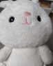 熊猫熊兔子玩偶毛绒玩具小女孩布娃娃生日礼物女生儿童陪睡觉抱枕公仔 晒单实拍图