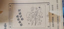 儿童画板液晶屏手写板一键清除宝宝家用小黑板绘画涂鸦电子写字板画画学生益智礼物护眼 16寸单色液晶屏粉色款 实拍图