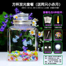 水母活物运输包活方杯发光小赤月水母学生宿舍好养活体海洋小宠物 方杯发光套餐（送两只小赤月） 实拍图