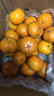 尔蝶广西沃柑新鲜橘子当季时令水果桔子整箱砂糖蜜橘柑橘应季水果礼盒 精选3斤装 净重2.8斤 中果55-60mm 实拍图