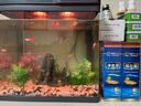 森森（SUNSUN）鱼缸水族箱硝化细菌鱼缸净水剂 硝化菌二代500ml 实拍图