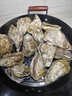 龙味福乳山生蚝鲜活到家牡蛎新鲜海蛎子火锅烧烤海鲜刺身 【天然养殖】3XL带箱10斤 实拍图