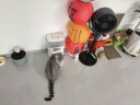 麦富迪猫粮 舒然鱼油猫粮成幼猫通用全价全期2kg三文鱼美毛靓毛 实拍图