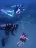 ZKHE游泳防晒面罩潜水头套遮阳防晒脸基尼护脸颈沙滩海边冲浪浮潜水帽 【全脸包裹】游泳防晒面罩 【成人款】漫幕黑 实拍图