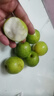 广西脆蜜青枣牛奶枣非苹果枣新鲜水果整箱包邮京东快递 带箱5斤单果60-80g 实拍图