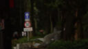 索尼（SONY）DSC-RX100M7 RX100VII 黑卡数码相机 长焦 4K视频 rx100m7 黑卡7（24-200mm） 官方标配[出厂配置无内存]下拉详情可见套餐介绍 实拍图