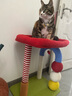 喵仙儿猫爬架一体猫窝多层跳台猫抓柱小型耐磨猫抓板猫玩具 实拍图