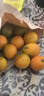 探味君 广西脆皮小金桔 应当季脆蜜滑黄皮小金桔橘桔子融安新鲜水果 净重1.8-2斤 大果（约35个/斤） 实拍图