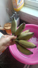广西小米蕉小香蕉自然熟迷你香蕉苹果蕉小芭蕉新鲜水果特产鸡蕉 苹果蕉 3斤 香甜软糯 实拍图