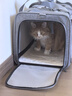 COCS猫包外出便携包手提式宠物包加大猫笼透气可折叠斜挎猫箱车载狗包 加大号深灰手提包（20斤内宠物） 猫狗通用 实拍图