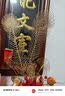 金色仿真花红果子发财果系列新婚金叶子尤加利冬青果福桶插花装饰 金孔雀翎2支 实拍图
