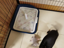 憨憨乐园狗厕所大型犬泰迪狗狗用品尿盆便盆屎小型犬中型宠物冲水 围栏大 实拍图