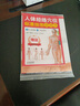 人体经络穴位标准挂图（男性）（3张）中医人体经络挂图 家庭保健养生医学 人体医学挂图 实拍图