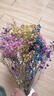爱满（AIMAN）满天星天然干花花束ins网红生日 新房装饰摆件风干真插花家居摆设 彩色满天星 【不带花瓶】 实拍图