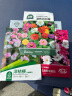 北蔬 百日草花种子苗百日菊混色重瓣四季花籽 混色百日草种子约1000粒 实拍图