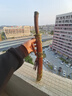 拙匠龙泉市宝剑清刀绣春刀雁翎刀锻打苍龙一体工艺品摆件刀剑未开刃 短款12寸 实拍图