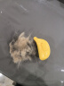 派乐特宠物喷雾按摩梳子一键喷雾防脱浮飞毛洗澡猫狗梳毛神器撸猫 实拍图