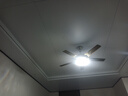 钻石牌（DIAMOND）风扇灯吊扇灯led客厅带灯吊扇北欧现代简约变频电风扇三色变光YY [变频]42寸5叶双控-1级能效-吊杆 实拍图