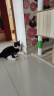 疯狂的主人猫咪蹭痒按摩快乐神器猫抓板免洗澡宠物玩具挠痒痒猫玩具梳毛 实拍图