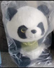 熊猫熊小熊猫玩偶儿童毛绒玩具娃娃花花大公仔生日礼物陪睡布娃娃抱抱熊 实拍图