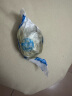华味亨 九制陈皮梅280g/袋 果脯话梅干果干酸甜干蜜饯果干 实拍图