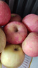 青苹果新鲜当季整箱酸甜脆口2025孕妇老人小孩应季水果原产地直发 净重4.5斤(16枚左右) 实拍图