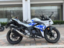 二手铃国四木GSX250双缸水冷小R燃油重机车摩托车跑车可上牌过户 白色 手续齐全可上牌 实拍图