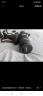 佳能（Canon）EOS 5D Mark IV 5D4 单反相机 单反套机 全画幅（EF 24-105mm f/4L IS II USM 单反镜头） 实拍图