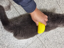 派乐特宠物喷雾按摩梳子一键喷雾防脱浮飞毛洗澡猫狗梳毛神器撸猫 实拍图