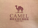 骆驼（CAMEL）夏季户外休闲运动女鞋防滑透气溯溪涉水鞋子沙滩鞋F24B303065 实拍图