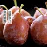 澳洲西梅300g 单果30g 实拍图
