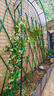 竹篱笆围栏户外庭院花园伸缩竹栅栏镀膜竹竿围墙护栏园艺爬藤支架 绿色拉伸栅栏【包塑】 高120cmx长200cm 实拍图